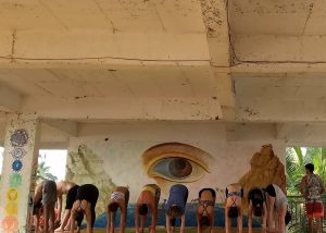 Yoga Classes