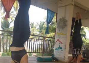 Yoga Classes