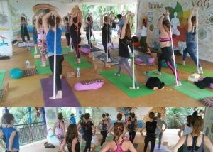 Yoga Classes